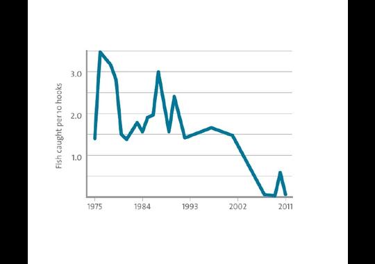 McMurdo Sound toothfish catch rate.